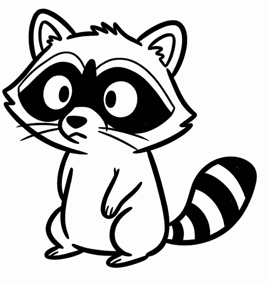 Colorful raccoon illustration